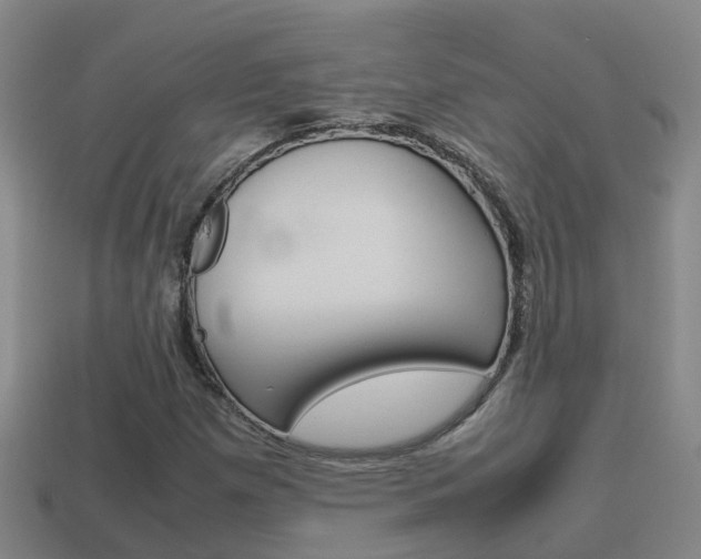 X0000115501257200911061015