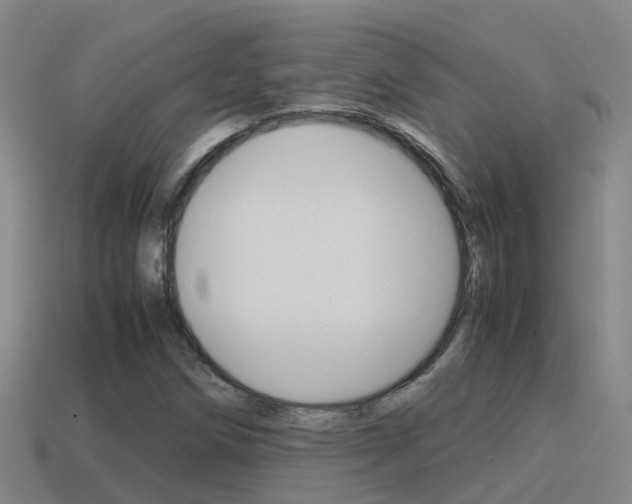 X0000115501258200911061015