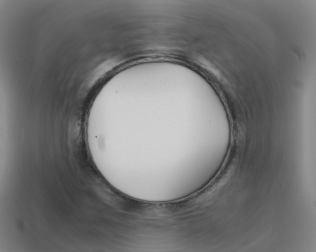 X0000115501259200911061015