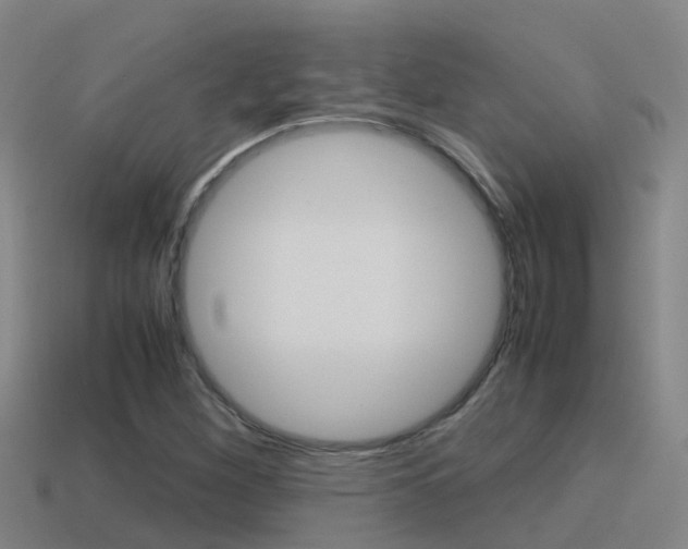 X0000115501260200911061015