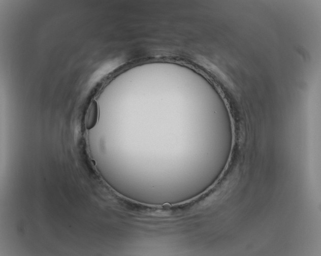 X0000115501261200911061015