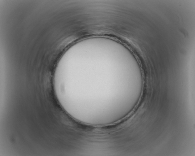 X0000115501265200911061015