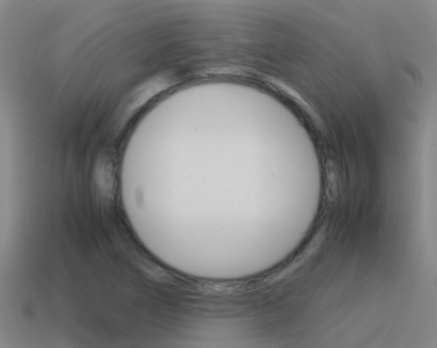 X0000115501266200911061015