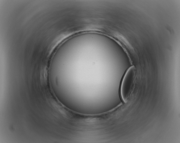 X0000115501268200911061015