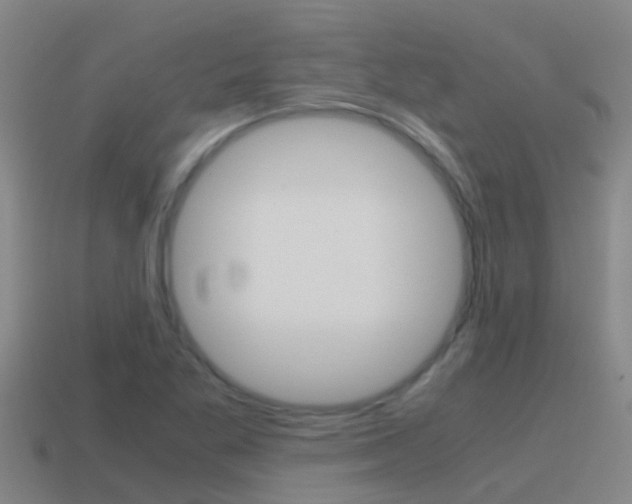 X0000115501269200911061015