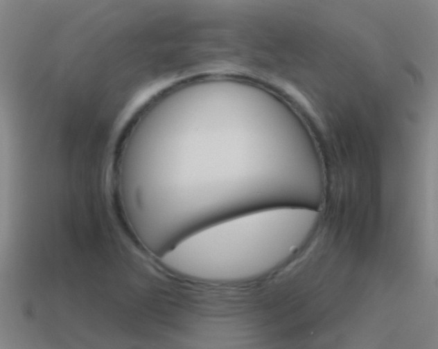 X0000115501270200911061015