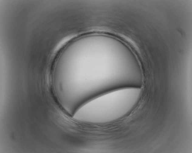 X0000115501271200911061015