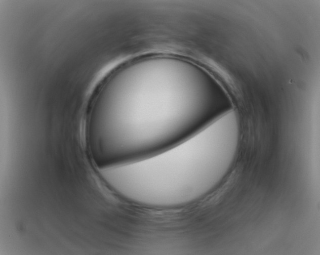 X0000115501272200911061015