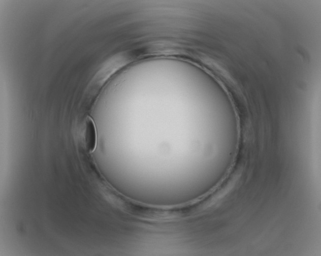 X0000115501273200911061015