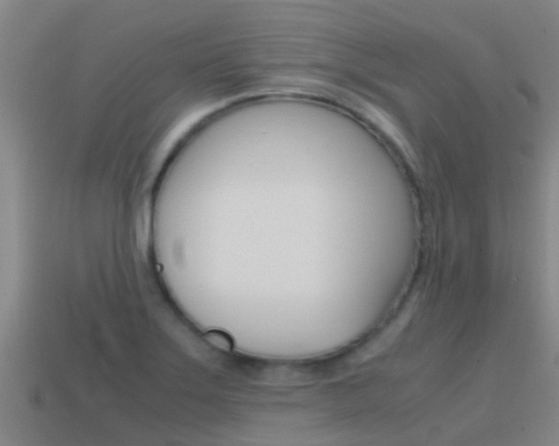 X0000115501275200911061015