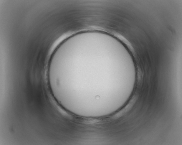 X0000115501278200911061015