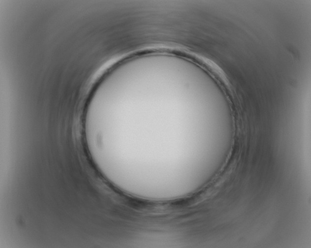 X0000115501279200911061015