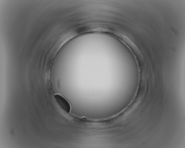 X0000115501281200911061015