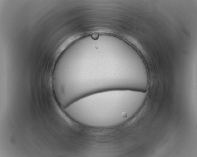 X0000115501282200911061015