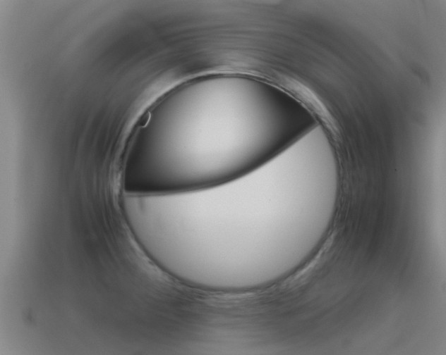 X0000115501284200911061015