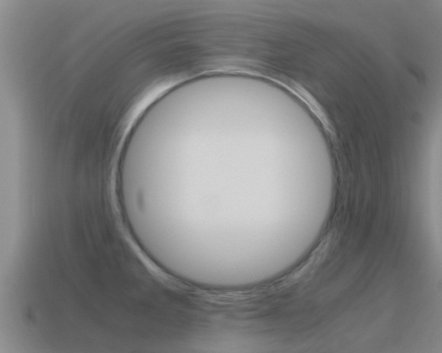X0000115501285200911061015