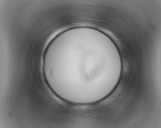 X0000115501286200911061015
