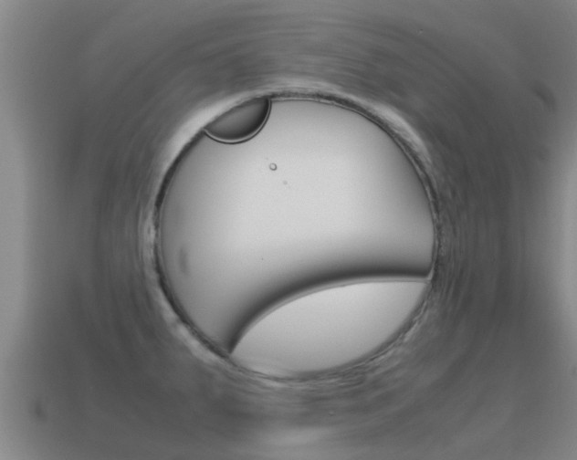 X0000115501287200911061015