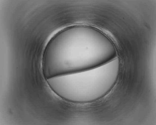 X0000115501288200911061015