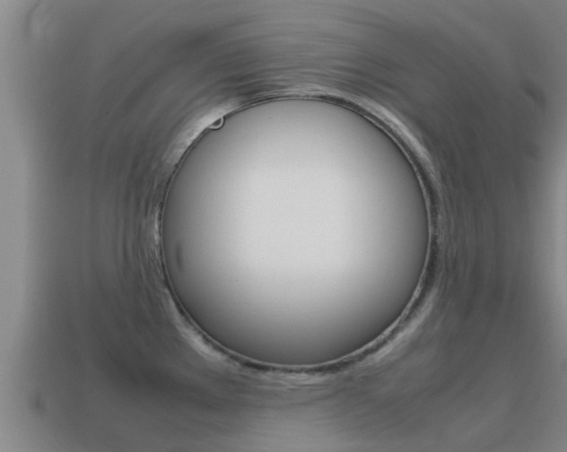 X0000115501289200911061015