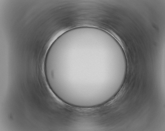X0000115501293200911061015