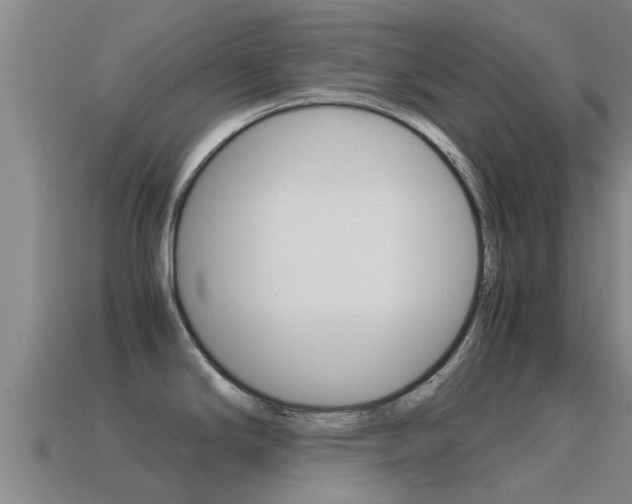 X0000115501294200911061014