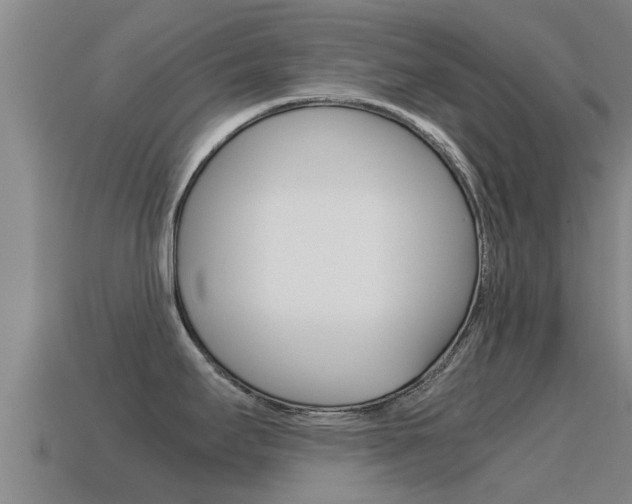X0000115501295200911061014