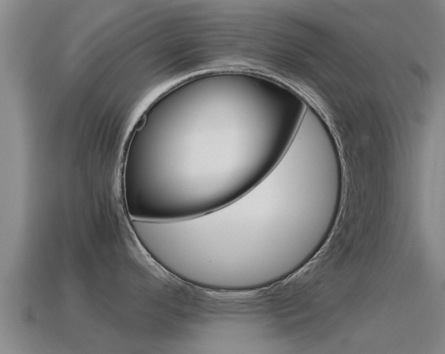 X0000115501296200911061014