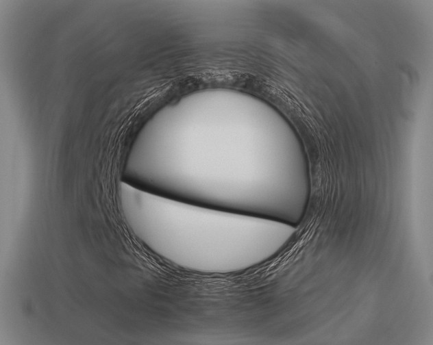 X0000115501297200911061014