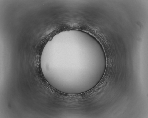 X0000115501301200911061014