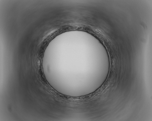 X0000115501302200911061014