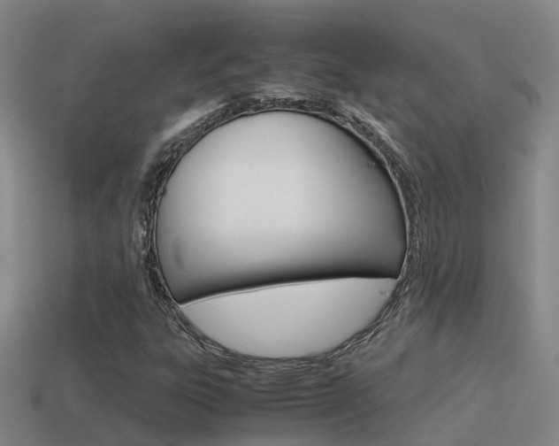 X0000115501303200911061014