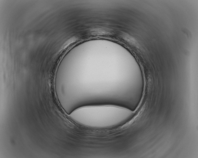 X0000115501305200911061014