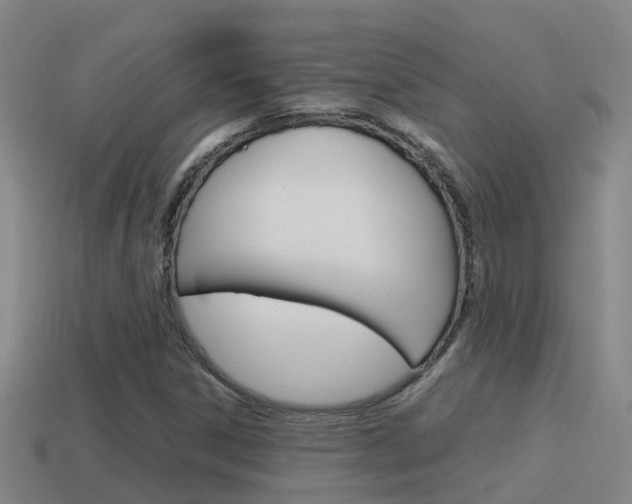 X0000115501306200911061014