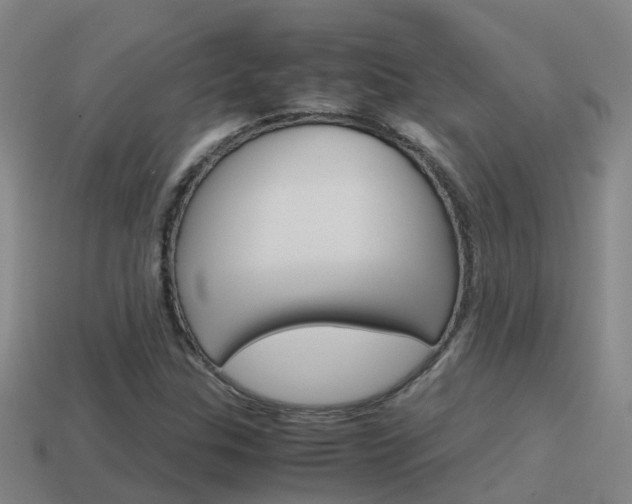 X0000115501307200911061014