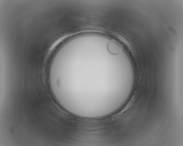 X0000115501310200911061014