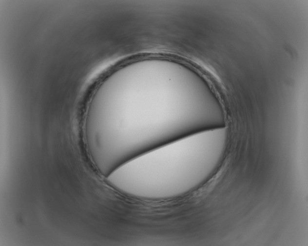 X0000115501311200911061014