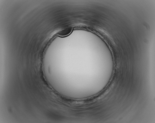 X0000115501313200911061014