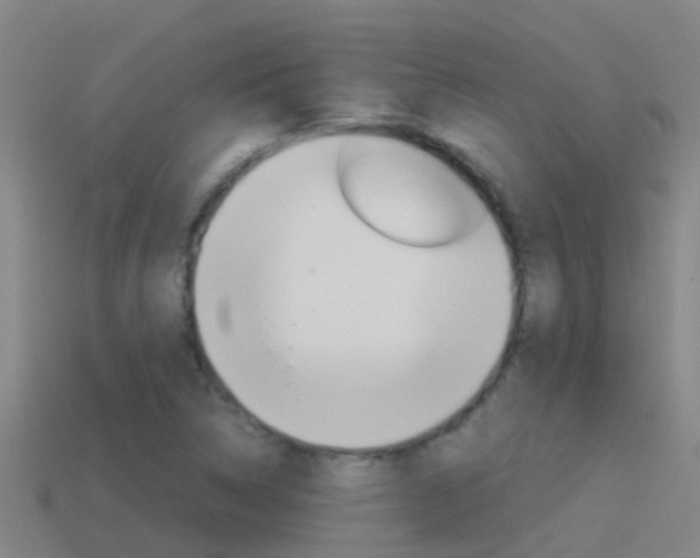 X0000115501314200911061014