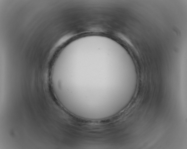 X0000115501315200911061014