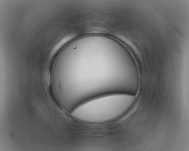 X0000115501317200911061014