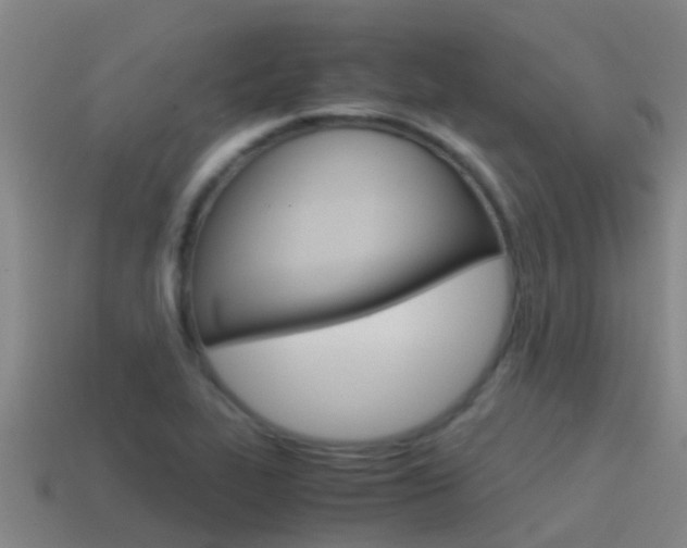 X0000115501319200911061014