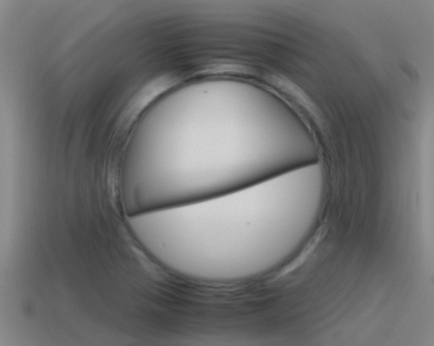 X0000115501321200911061014