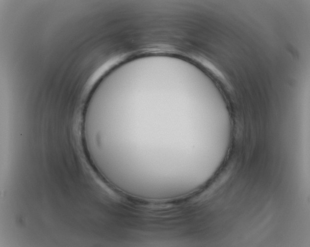 X0000115501325200911061014