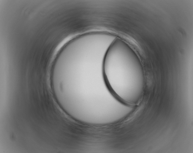 X0000115501326200911061014