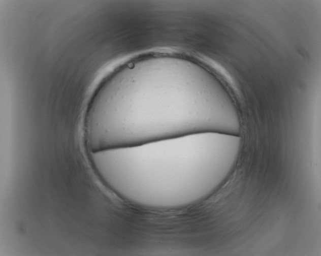 X0000115501327200911061014