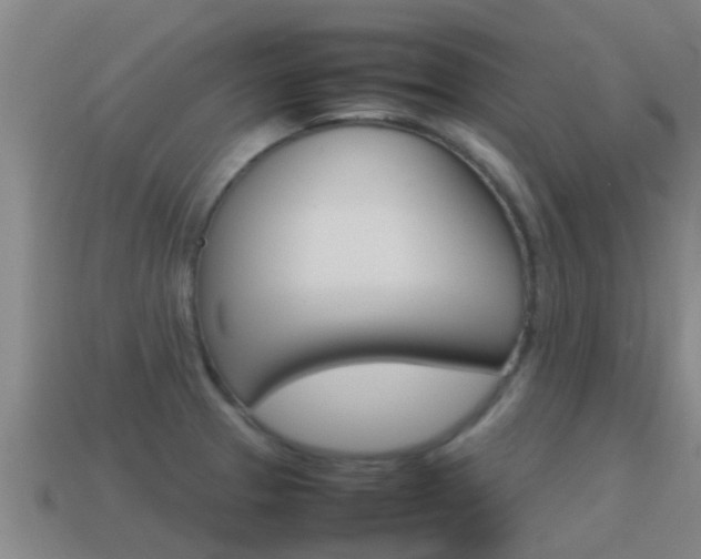 X0000115501329200911061014