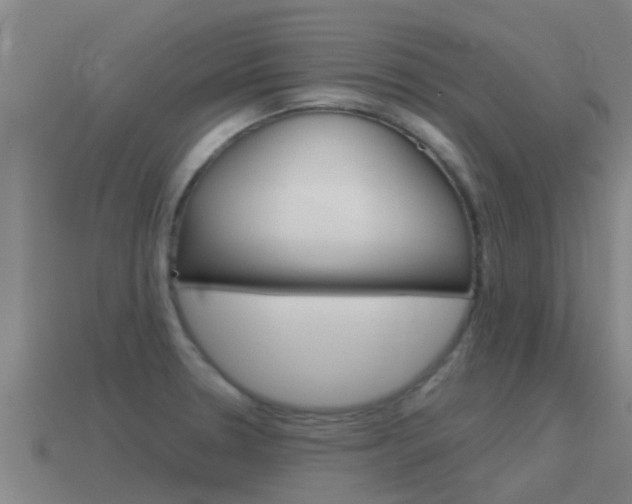 X0000115501330200911061014