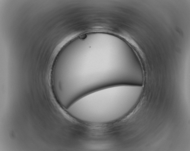 X0000115501333200911061014