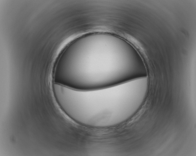 X0000115501334200911061014